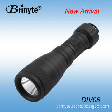 Professional 18650 Rechargeable CREE LED Underwater Light